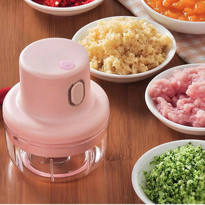 250 ml Electric Mini Garlic Chopper
